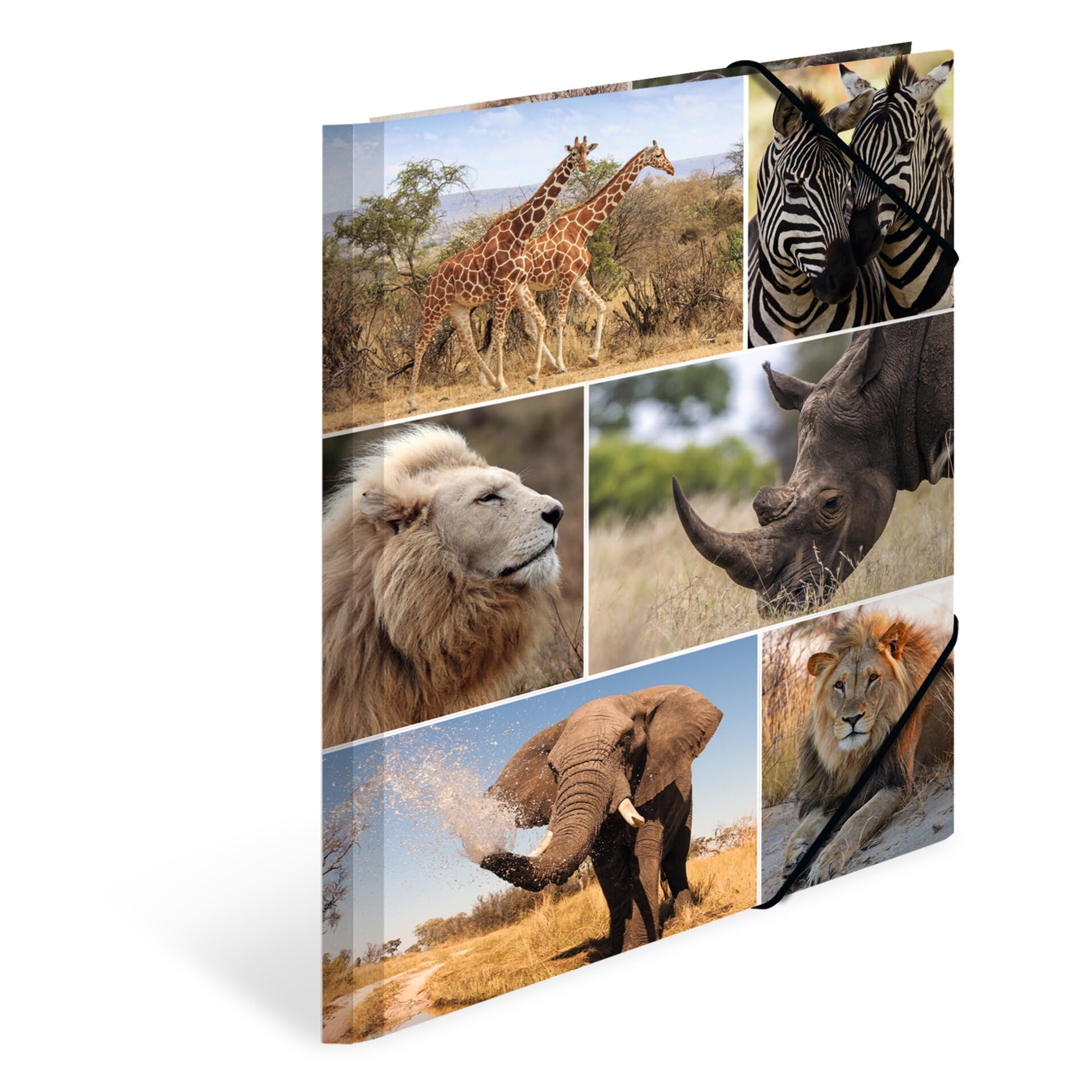 HERMA Elastic Folder Animals with Africa Animals Motif, A4, Sturdy Cardboard, with Inner Print, 1 Span Folder