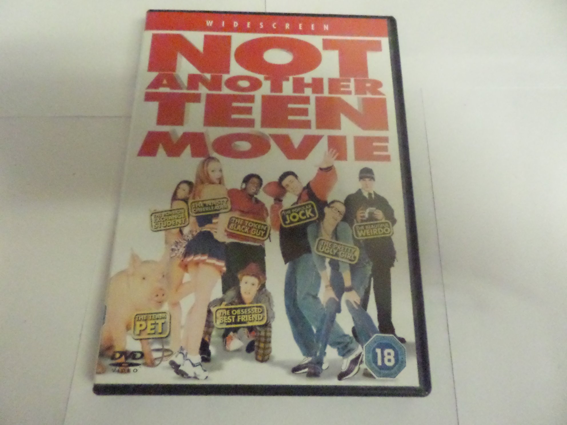 Not Another Teen Movie [DVD]