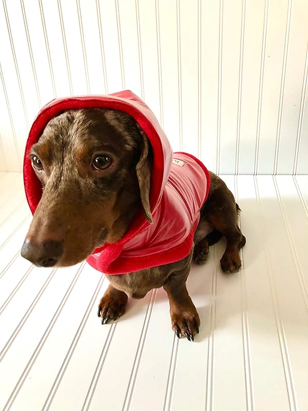 Mini Dachshund Clothes, Small Dog Breeds