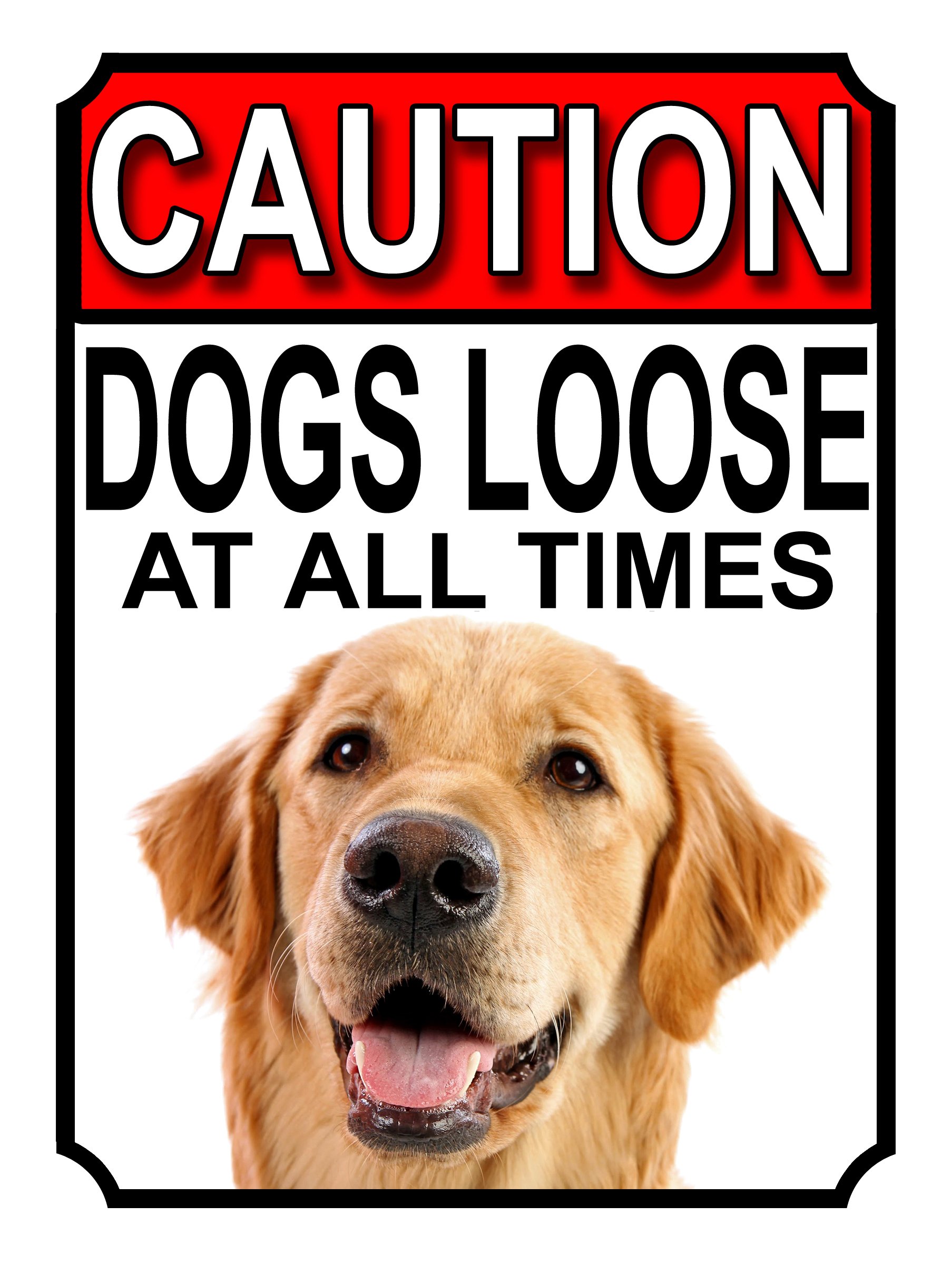 CAUTION DOGS LOOSE AT ALL TIMES METAL GATE SIGN GOLDEN RETRIEVER 200MM X 150MM (1201H1) — image 1