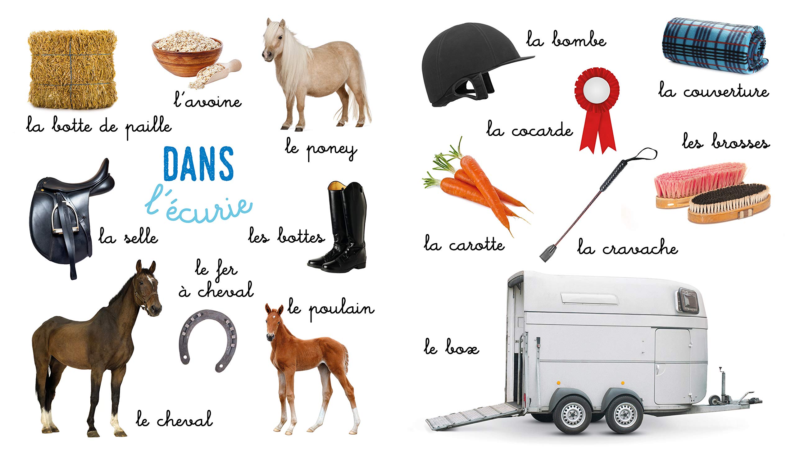 Mon Bel Imagier La Vie A La Ferme Mon Bel Imagier Photos French Edition Collectif Amazon Com Books