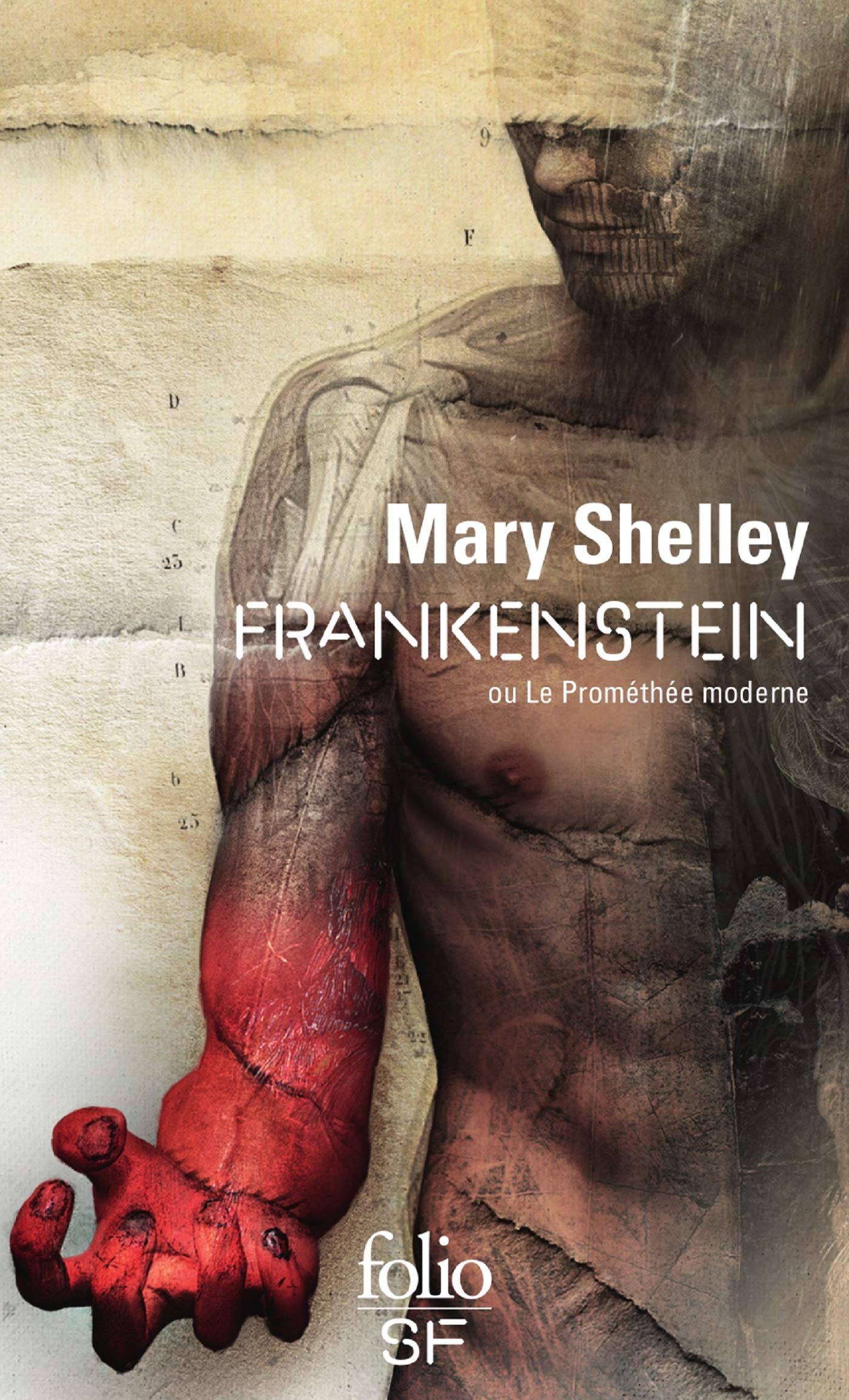 An Analysis Of Mary Shelley S Frankenstein Or The Modern
