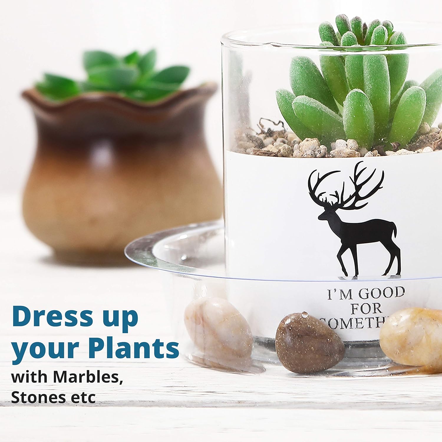 Konanzo Plant Saucer 15 Pack of Clear Plastic Saucers Drip Trays in Assorted Sizes (6 inch/8inch/10inch) Flower Pot Tray for Indoors & Outdoor Plants or Planter pots. (1, 6, 8, 10 inch) : Garden & Outdoor