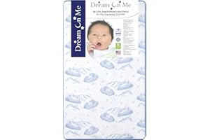 EVOLUR Dream On Me Sweet Dreams 88 Coil Spring Crib and Toddler Bed 6" Mattress in Blue, Green Guard Gold Certified, 17 lb