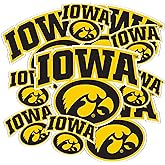Desert Cactus University of Iowa Sticker Hawkeyes Vinyl Decals Laptop Water Bottle Car Scrapbook T3 (Type 3-1)