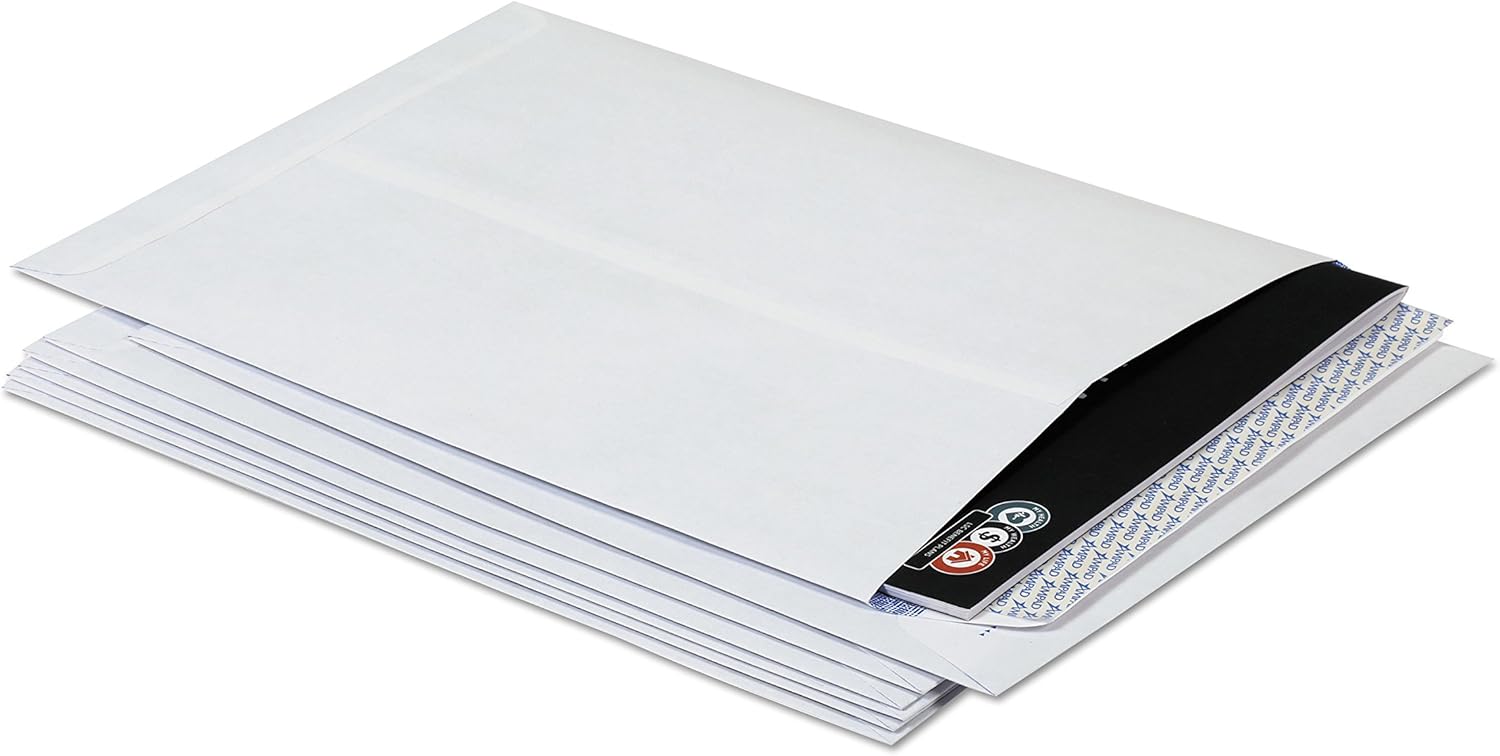 Ampad Fastrip Security Catalog Envelope, 9 Inch x 12 Inch, Peel & Seal Adhesive, Security Tint, Tear-Away Quick-Open Strip, White, 100 Per Box (73127) : Office Products