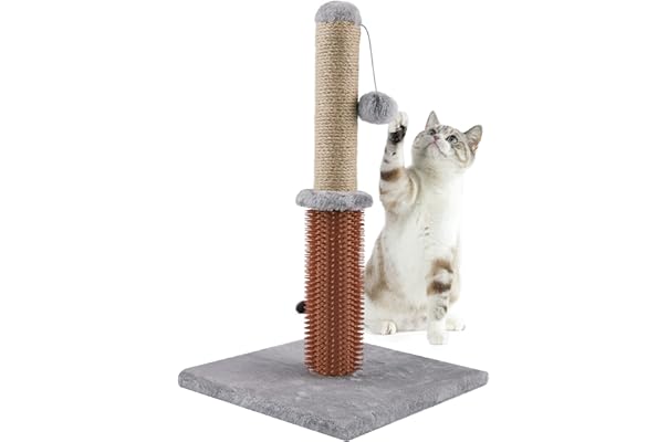 colonel cat scratching post