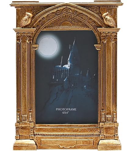 Amazon.com - Silver Buffalo Harry Potter Hogwarts House Pride 3D