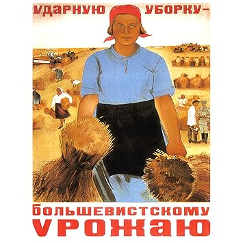 [Image: 81I1qzMh5nL._SY355_.jpg]