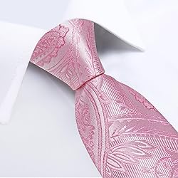DiBanGu Silk Paisley Ties for Men Woven Necktie and
