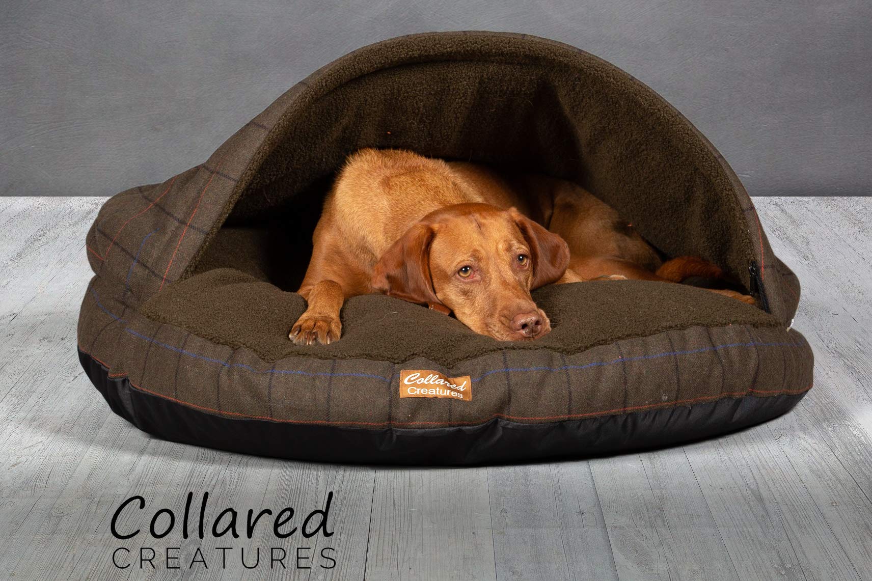 collared creatures dog bed