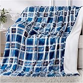 LunaHush Twin Size Electric Blanket Heated, 62" x 84" Blue Plaid Heated Blanket with 8 Heat Levels & 10 Hours Auto Off, Fast Heating Blankets Machine Washable with ETL & FCC Certification