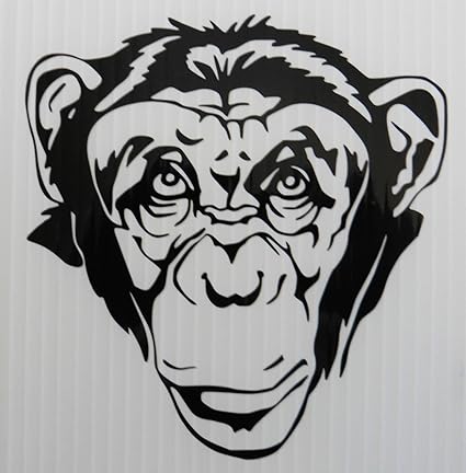Amazoncom Monkey Face Vinyl Decal Everything Else