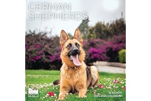 German Shepherds Wall Calendar 2026 | 12" x 24" Open | Giftable Dog Calendar 2026 | Thick & Sturdy Paper for Planning | Pacific Waters Press (German Shepherds)