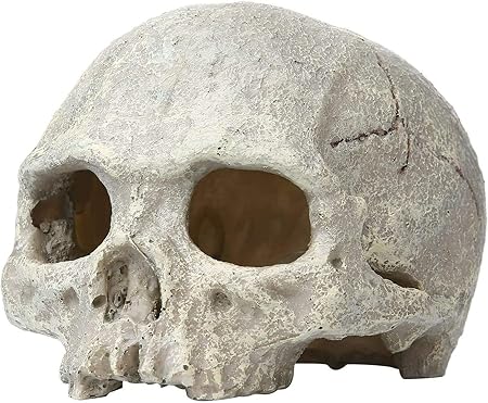 skull aquarium decorations