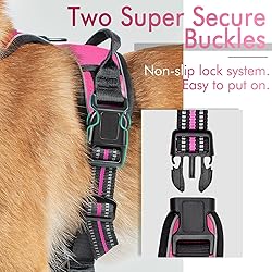 rabbitgoo Dog Harness, No-Pull Pet Harness with 2