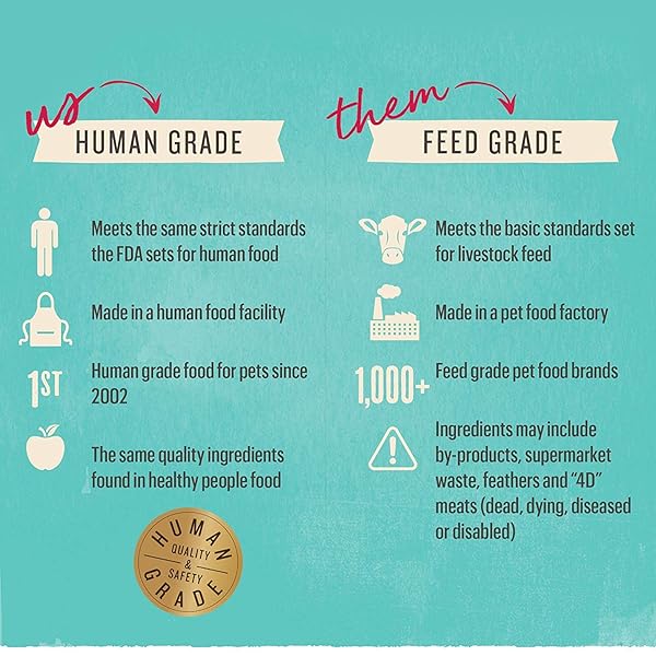 THE HONEST KITCHEN HUMAN GRADE WHOLEMADE™ DEHYDRATED DOG FOOD, GRAIN FREE TURKEY DOG FOOD, 2 LB BAG
