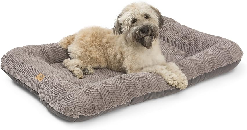 easy to clean dog bed