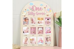 NAOZINEBI One Silly Goose Photo Board Goose Themed Birthday Party Wooden Board Decorations 12 Monthly Milestone Picture Frame One Year Old Wood Sign 1st Birthday Photo Banner for Baby Girls Keepsake Gift Supply