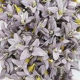 Duodoyi 20 Pcs Artificial Lily Flower Head,Fake Flowers Heads Simulation Small Lily Flower Heads for DIY Handmade Office Faux Flower Arrangement Wedding Photography Party Home Decoration(Gray)