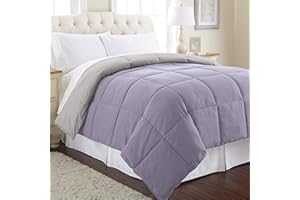 Modern Threads Down Alternative Microfiber Quilted Reversible Comforter & Duvet Insert - Soft, Comfortable Alternative To Goose Down - Bedding For All Seasons Amethyst/Silver King