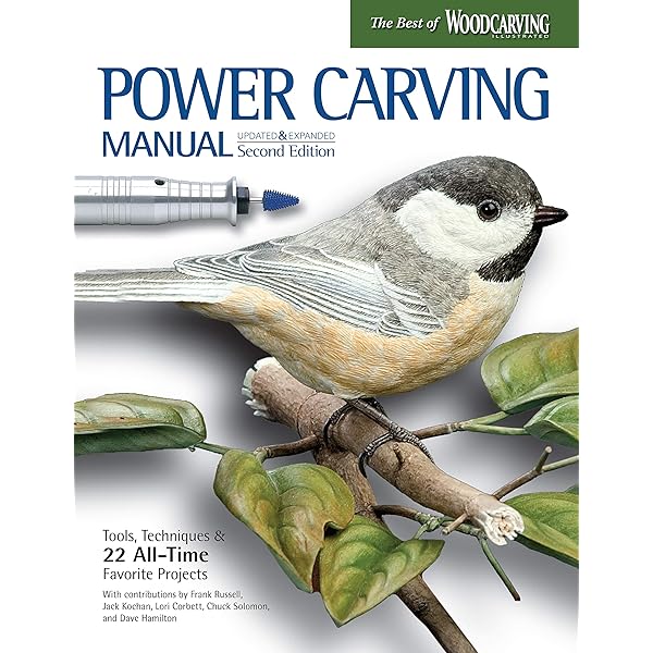 Songbird Carving II: Daisey, Rosalyn: 9780887401190: Amazon.com: Books