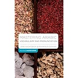 Mastering Arabic Vocabulary and Pronunciation (Macmillan Master Series (Languages), 11)
