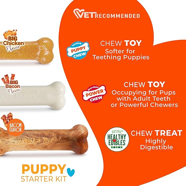 NYLABONE NEW PUPPY STARTER KIT, 2 CHEW TOYS AND 1 NATURAL TREAT FOR PUPPIES, PUPPY TEETHING TOY, BACON & CHICKEN FLAVOR, SMALL DOGS – UP TO 25 LBS., 3 PACK