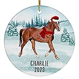 Santa Hat and Scarf Welcome Winter Chestnut Quarter