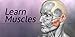 Learn Muscles: Anatomy