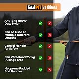 Total Pet 15m Training Lead for Dogs & Puppies Long Line Leash 2mm Nylon view 7
