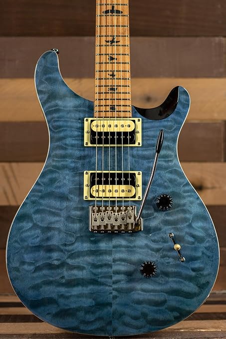 Prs Se Custom 24 Limited Edition Whale Blue With Amazon In Electronics