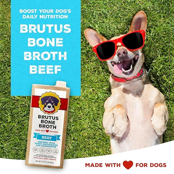 BRUTUS BONE BROTH LIQUID FOR DOGS | ALL NATURAL | MADE IN USA | GLUCOSAMINE & CHONDROITIN FOR HEALTHY JOINTS | HUMAN GRADE INGREDIENTS | HYDRATING DOG FOOD TOPPER, GRAVY & TREAT (PORK)