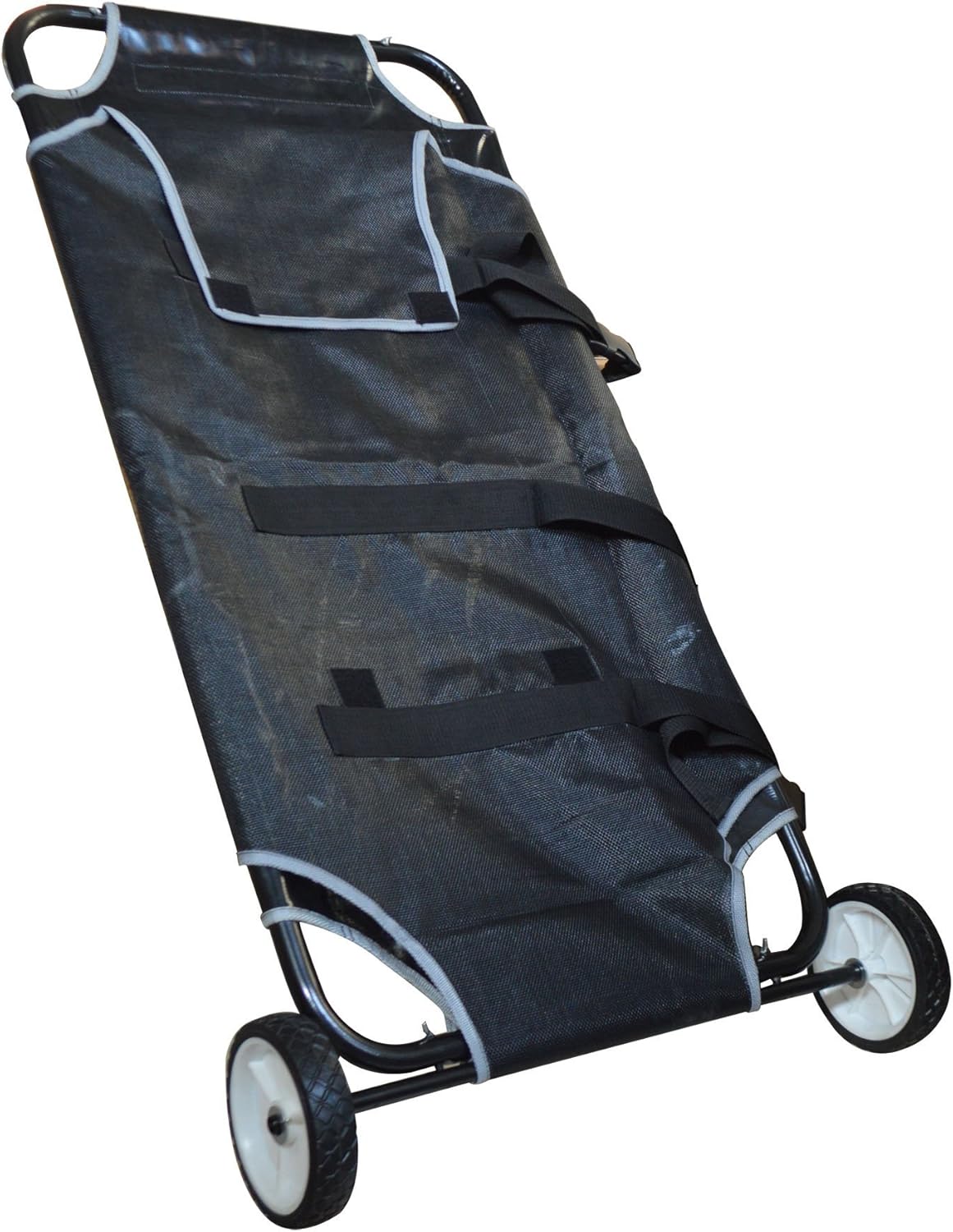 emergency pet transport