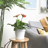 T4U 17cm Plastic Plant Pots 6-Pack with Saucer White Indoor Outdoor view 7