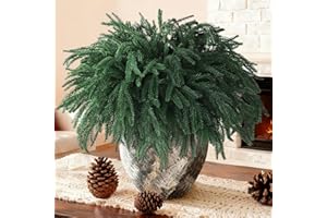 Homsunny 10 PCS Christmas Norfolk Pine Stems Real Touch Artificial Pine Branches Faux Christmas Greenery Stems 17" Fake Pine Branches for Vase DlY Crafts Indoor Outdoor Home Decor