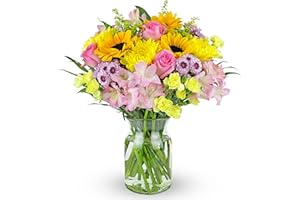 Benchmark Bouquets - Rays of Sunshine (Glass Vase Included) - Fresh Flowers for Delivery - Gift for Graduation, Birthday, Anniversary, Sympathy, Get Well, Congratulations