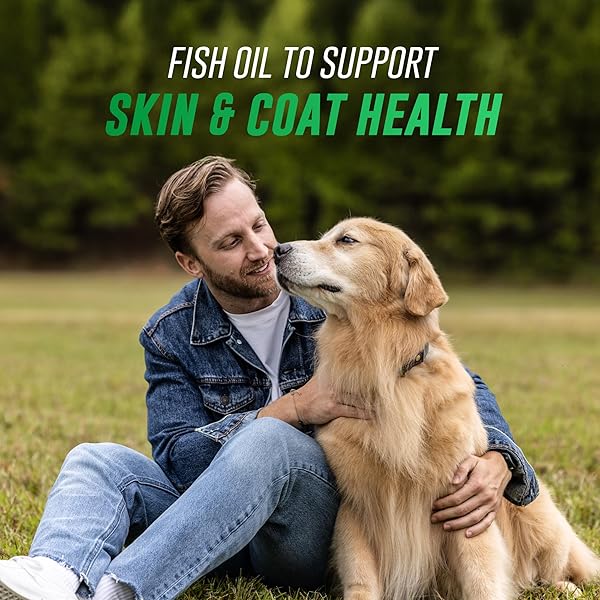 NUTRAMAX WELACTIN OMEGA 3 FISH OIL FOR DOGS, SKIN AND COAT HEALTH SUPPLEMENT, PLUS JOINT, IMMUNE, KIDNEY, AND BRAIN SUPPORT, PREMIUM OMEGA 3 FATTY ACIDS, FOR DOGS, 16 OUNCE LIQUID