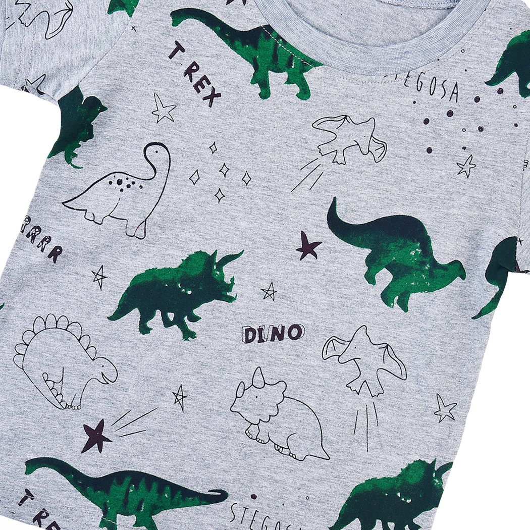 DDSOL Little Boys Toddler Jurassic Dinosaur T Short Sleeve Tee Cartoon T Shirt
