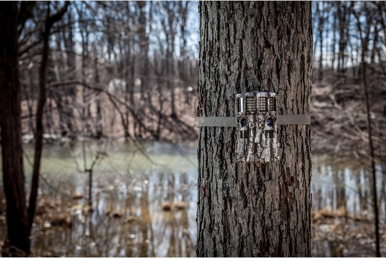 Moultrie P-120i Game Camera | P-Series | 21 MP | 0.5 S Trigger Speed | 1080p Video | Compatible with Moultrie Mobile (sold separately) : Sports & Outdoors