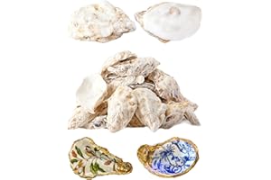 Letravagance 30Pcs Oyster Shells for Crafts， 4"-5" Large Oyster Shell for Crafts，Oyster Shells for Christmas 、Painting、 Beach Themes、 Wedding, Home Shells for Decoration and Sea Shells for Crafting