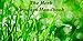 The Herbs Grower Handbook