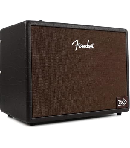 Amazon.com: Fender Acoustic Junior Guitar Amplifier, with 2
