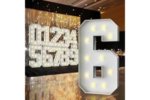ZFUNBO 3FT Marquee Light Up Number,Marquee Numbers 3 Feet Tall, Large Led Sign for Baby Shower,Party,Birthday Decorations,Graduation,Prom(Number 6)