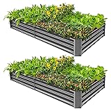 Land Guard 2 Pack 8×4×1ft Galvanized Metal Raised