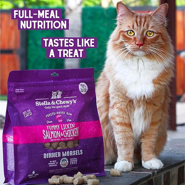 STELLA & CHEWY’S FREEZE-DRIED RAW CAT DINNER MORSELS – PREMIUM SALMON & CHICKEN RECIPE WITH 98% WILD-CAUGHT & CAGE-FREE PROTEIN – NATURAL GRAIN-FREE CAT & KITTEN FOOD – MADE IN USA – 8 OZ