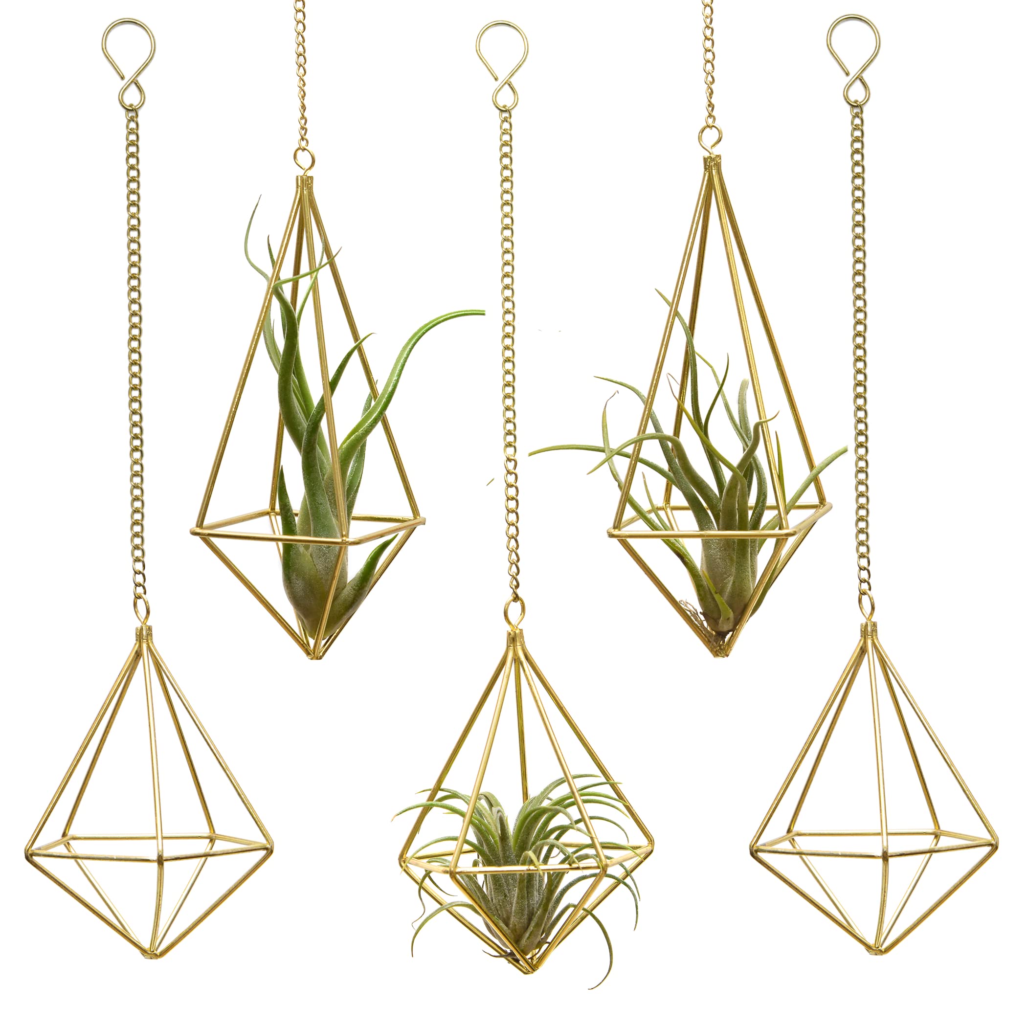Photo 1 of Geometric Hanging Tillandsia Holder Gold Metal Air Plants Holders Hanging for House Decor Living Room,Small Plant Holders Indoor Hanging,Plant Lover Gifts (5Pcs)