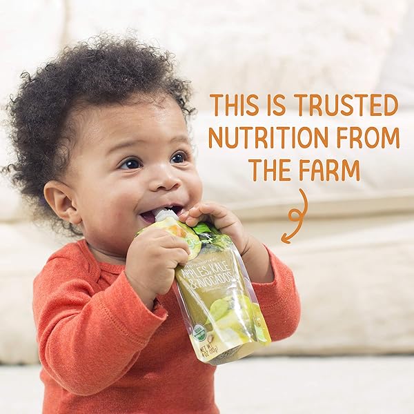HAPPY BABY ORGANICS STAGE 2 BABY FOOD POUCHES, GLUTEN FREE, VEGAN & HEALTHY SNACK, CLEARLY CRAFTED FRUIT & VEGGIE PUREE, PEAR SQUASH & BLACKBERRIES, 4 OUNCES (PACK OF 1)