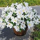 INSPRING Artificial Fake Spring Flowers for Outdoors Decoration, 3 Bundles Faux Azalea Plants Flower Look Real UV Resistant Silk Flowers for Outside Planters Patio Porch Garden Yard Window Home, White