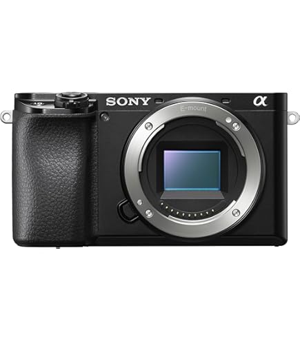 α6100 ホワイト Amazon.com : Sony Alpha A6100 Mirrorless Camera (White